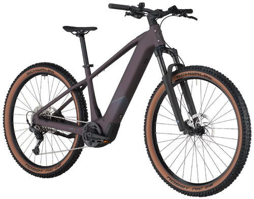  Bergamont E-Revox Sport 20 - 600 Wh - 2025 - 29 Zoll - Herren