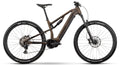  Raymon Trailray 120 Pro - 800 Wh - 2025 - 29 Zoll - Fully