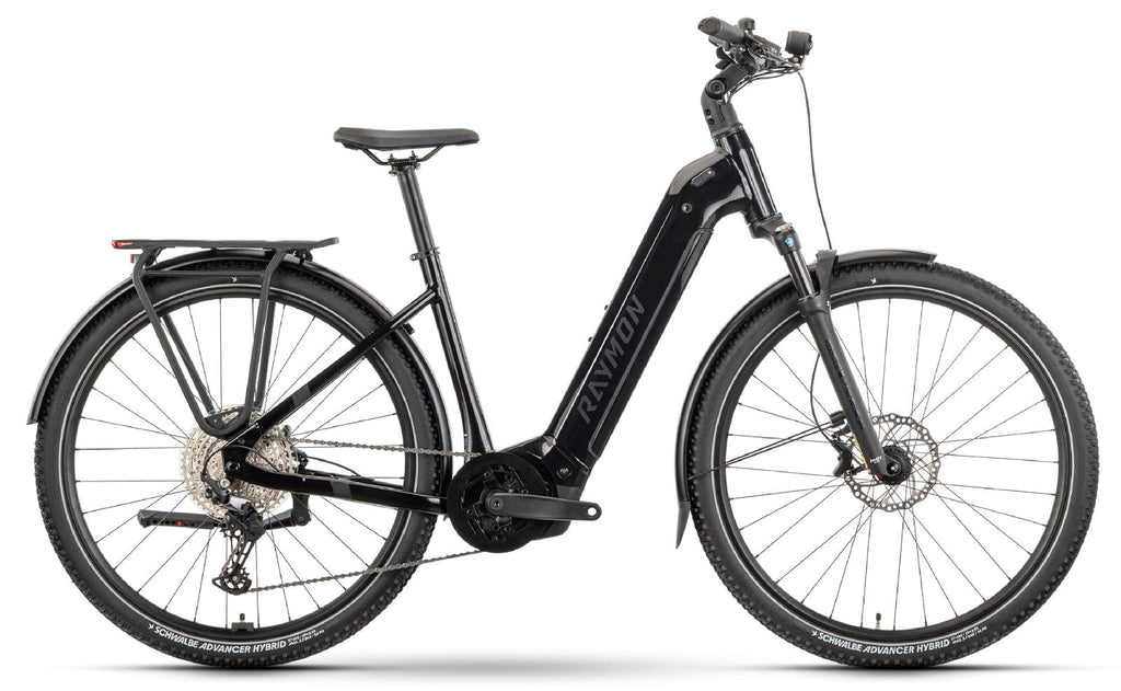  Raymon Tahona Pro - 800 Wh - 2025 - 29 Zoll - Tiefeinsteiger