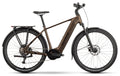 Raymon Tahona - 600 Wh - 2025 - 29 Zoll - Herren