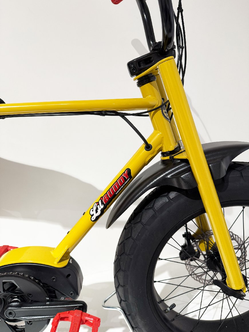  LilBuddy Inkl. Schmutzfänger - 500 Wh - 2022 - 20 Zoll - Damen Und Herren