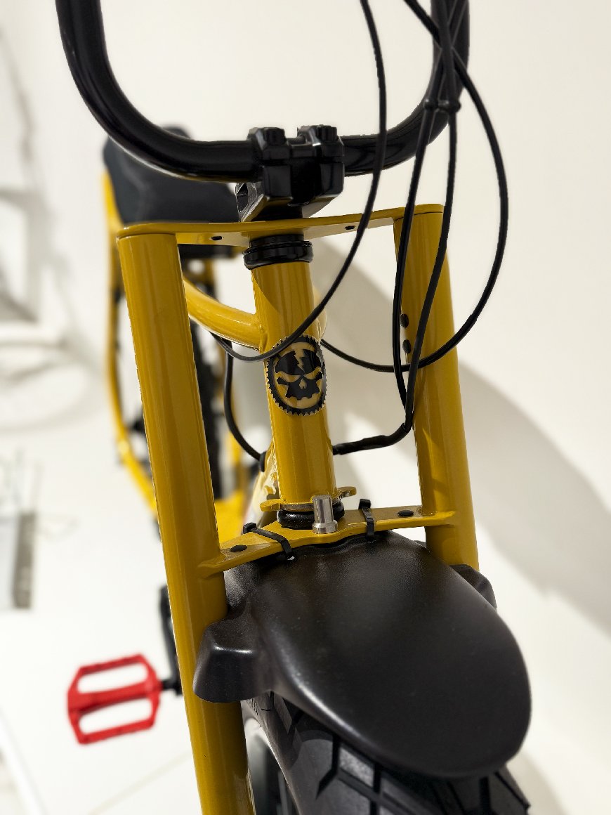  LilBuddy Inkl. Schmutzfänger - 500 Wh - 2022 - 20 Zoll - Damen Und Herren